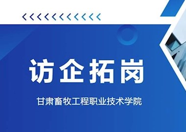 關于做好2023年下半年書記校長訪企拓崗促就業專項行動實施相關事宜的通知